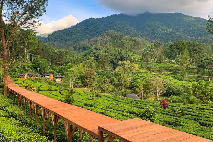 Puncak & Cisarua