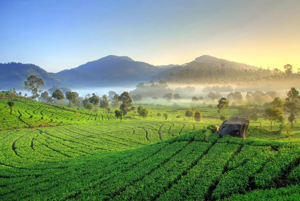 Rancabali & Desa Wisata Alamendah