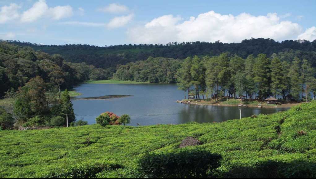 Situ Patenggang & Kebun Teh Rancabali